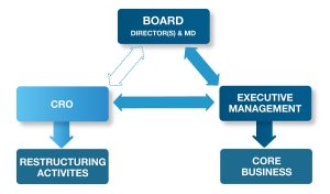 management structure information